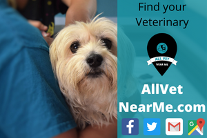 Find your Veterinary - allvetnearme.com 1