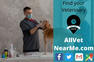 Find a Veterinary in Cottonwood, AZ allvetnearme veterinarians in Cottonwood