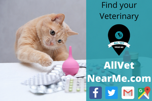 Find your Veterinary - allvetnearme.com 15