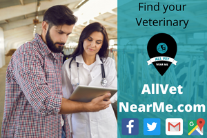 Find your Veterinary - allvetnearme.com 17