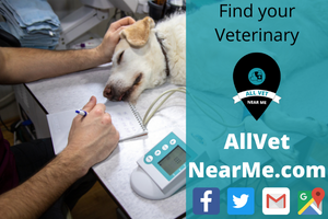 Find a Veterinary in Centennial, CO allvetnearme veterinarians in Centennial